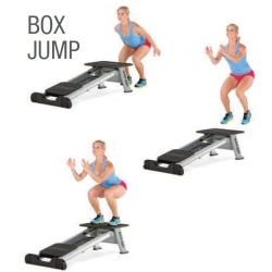 Динамическая плиоплатформа Total Gym Leg Trainer™ Плиометрическая платформа Total Gym Leg Trainer