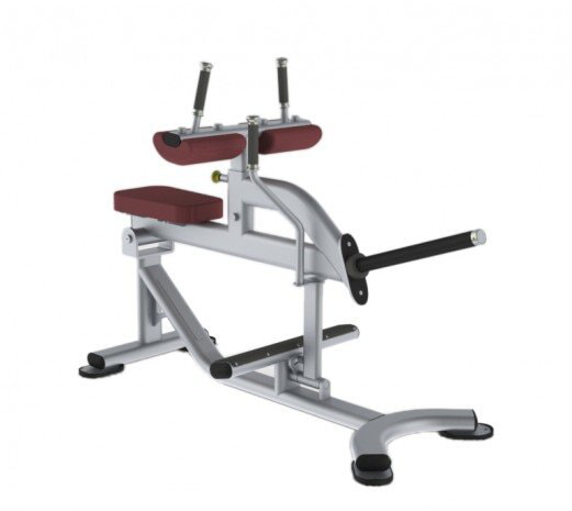 Икроножные, подъем коленей сидя TRUE FITNESS (PARAMOUNT) XFW5700-19, фото