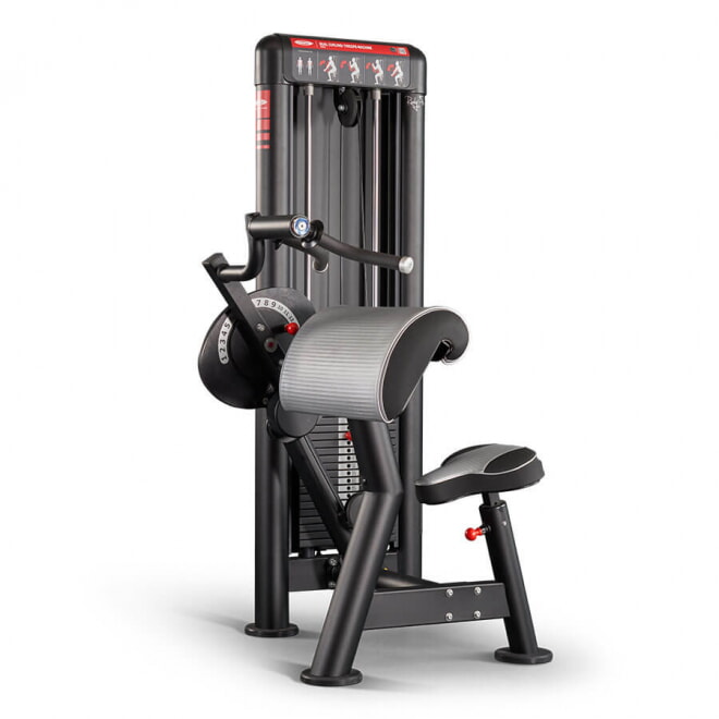 Бицепс / Трицепс PANATTA Dual Curling | Triceps Machine 1SCD050h, фото