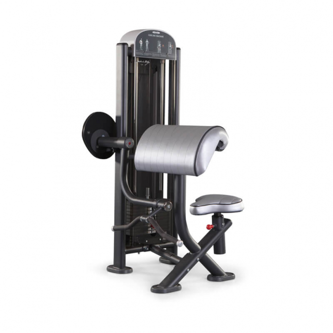 Сгибание рук PANATTA Fit Evo Curling Machine 1FE051, фото