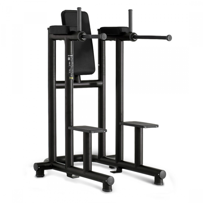 Стойка брусья/пресс TECHNOGYM Leg Raise Dip, фото