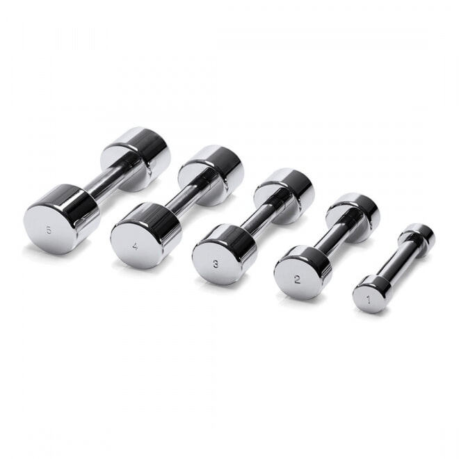 Набор хромированных гантелей TECHNOGYM Chrome Dumbbell 1-10 кг, фото
