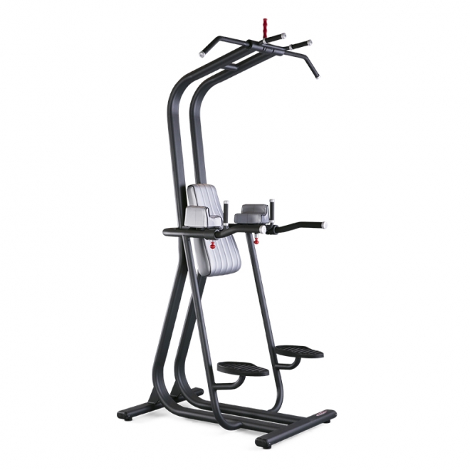 Подтягивание/отжимание/пресс PANATTA Fit Evo Chin And Dip 1FE211, фото
