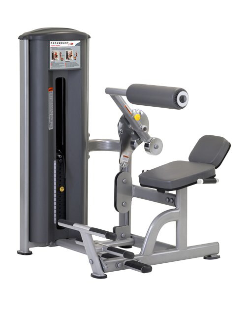 Брюшной пресс/разгибание спины TRUE FITNESS (PARAMOUNT) FS57-H, фото