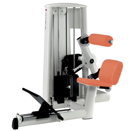 Тренажер для разгибания спины GYM80 Sygnum Standards 3038, фото
