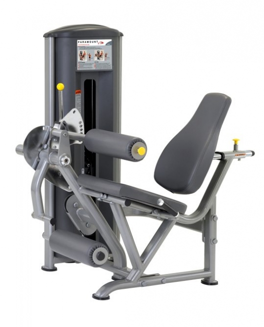 Разгибание/сгибание ног TRUE FITNESS (PARAMOUNT) FS50-H, фото