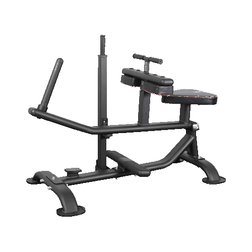 Голень сидя BRONZE GYM PL-1719, фото
