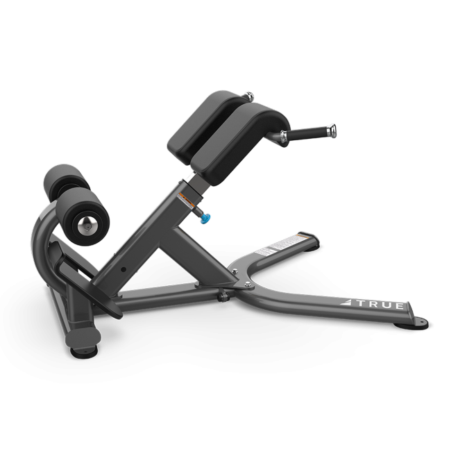 Разгибание спины TRUE FITNESS (PARAMOUNT) XFW5600-19, фото