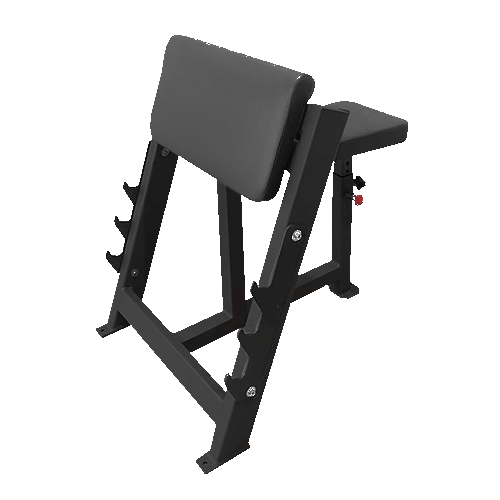 Скамья Скотта BRONZE GYM Partner AL-303, фото