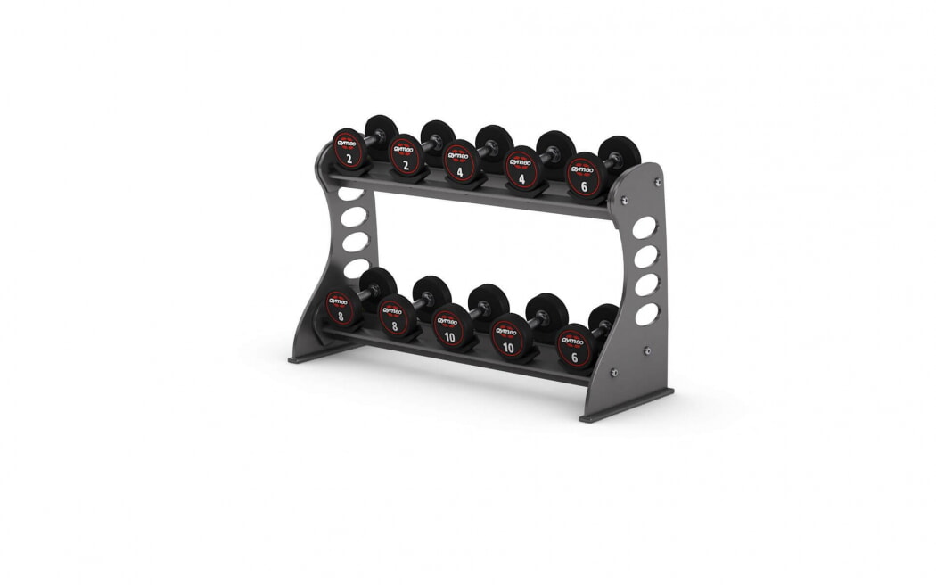 Стойка для гантелей с резиновыми держателями GYM80 Sygnum Basic Dumbell Rack with 10 rubber holders 4056, фото