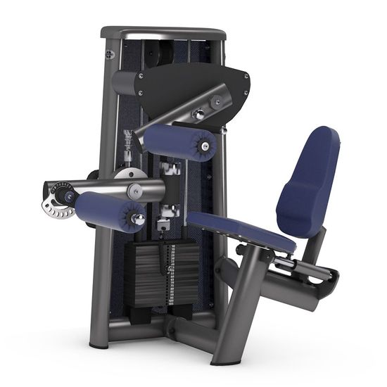 Сгибание ног сидя GYM80 Sygnum Standarts Seated Leg Curl 3003, фото