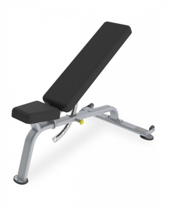 Многопозиционная скамья TRUE FITNESS (PARAMOUNT) FS20, фото