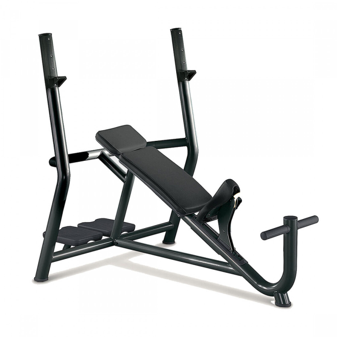 Скамья TECHNOGYM Inclined Bench, фото