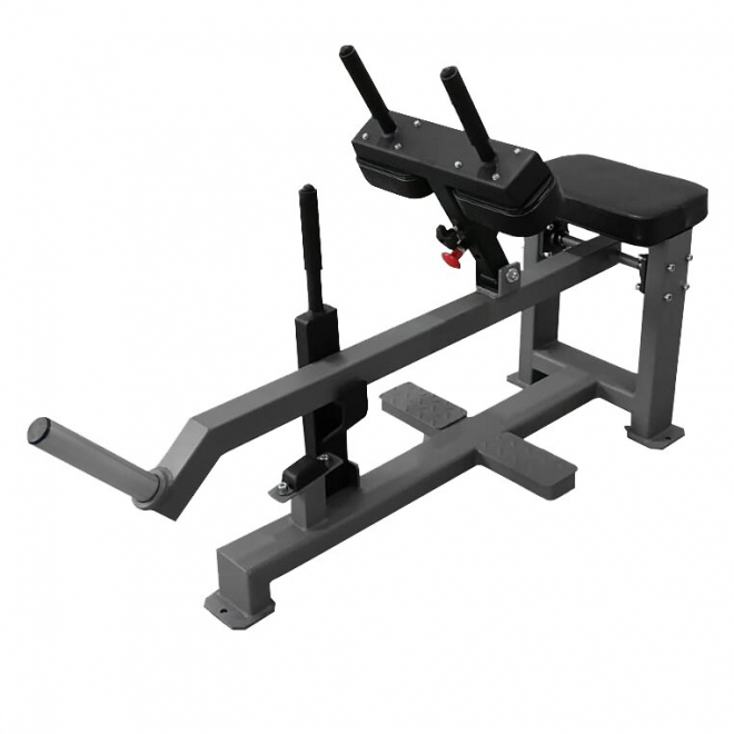 Голень сидя BRONZE GYM Partner BGR-807, фото