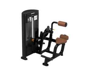 Разгибание спины PRECOR Resolute RSL0313, фото
