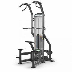 Подтягивание / Отжимание с помощью TRUE FITNESS FUSE-4000H, фото