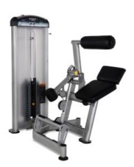 Разгибание спины TRUE FITNESS FUSE1300H, фото