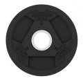 Диск олимпийский обрезиненный BRONZE GYM BGPLR012 1,25 кг, фото